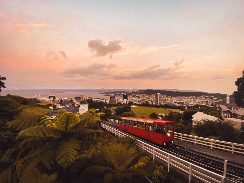 Wellington, Nova Zelândia, Intercambio en Nueva Zelanda