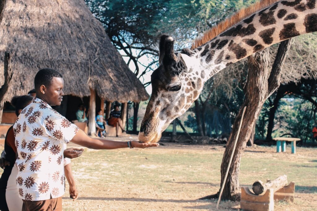 Motivos para fazer intercâmbio na África do Sul